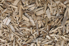biomass boilers Penmachno
